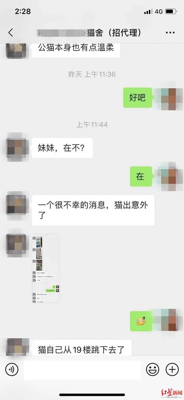 3万元布偶猫配种时跳楼死亡!做好一件事,猫狗寿命增加三成(图2) 3万元布偶猫配种时跳楼死亡!做好一件事,猫狗寿命增加三成(图2)