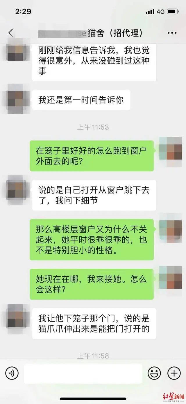 3万元布偶猫配种时跳楼死亡!做好一件事,猫狗寿命增加三成(图3) 3万元布偶猫配种时跳楼死亡!做好一件事,猫狗寿命增加三成(图3)