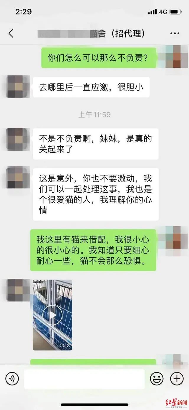 3万元布偶猫配种时跳楼死亡!做好一件事,猫狗寿命增加三成(图4) 3万元布偶猫配种时跳楼死亡!做好一件事,猫狗寿命增加三成(图4)