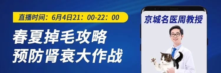 一周内两只猫外出洗澡，一死一伤！带猫去洗澡必须做好两件事(图13)