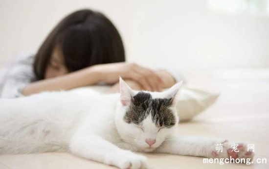 人和猫一起睡觉好不好 人和猫一起睡觉的危害