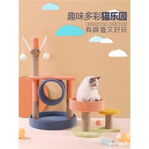养猫新手需要准备的物品有哪些？