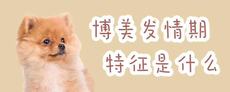 专美发情期特性是什么