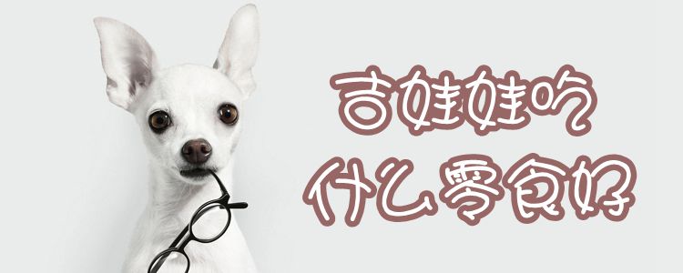 吉娃娃吃什么零食佳