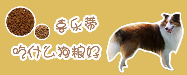 喜乐蒂吃什么狗粮佳
