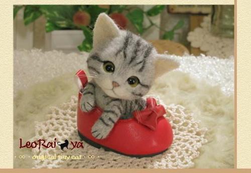 小猫受到惊吓后会有哪些反应