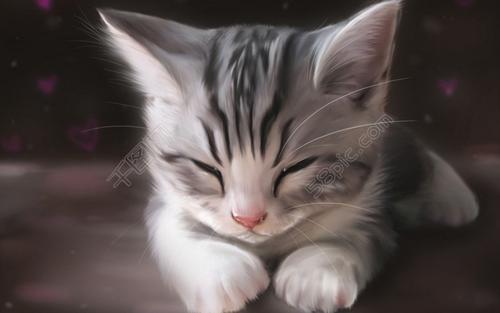 小猫拉稀怎么办？