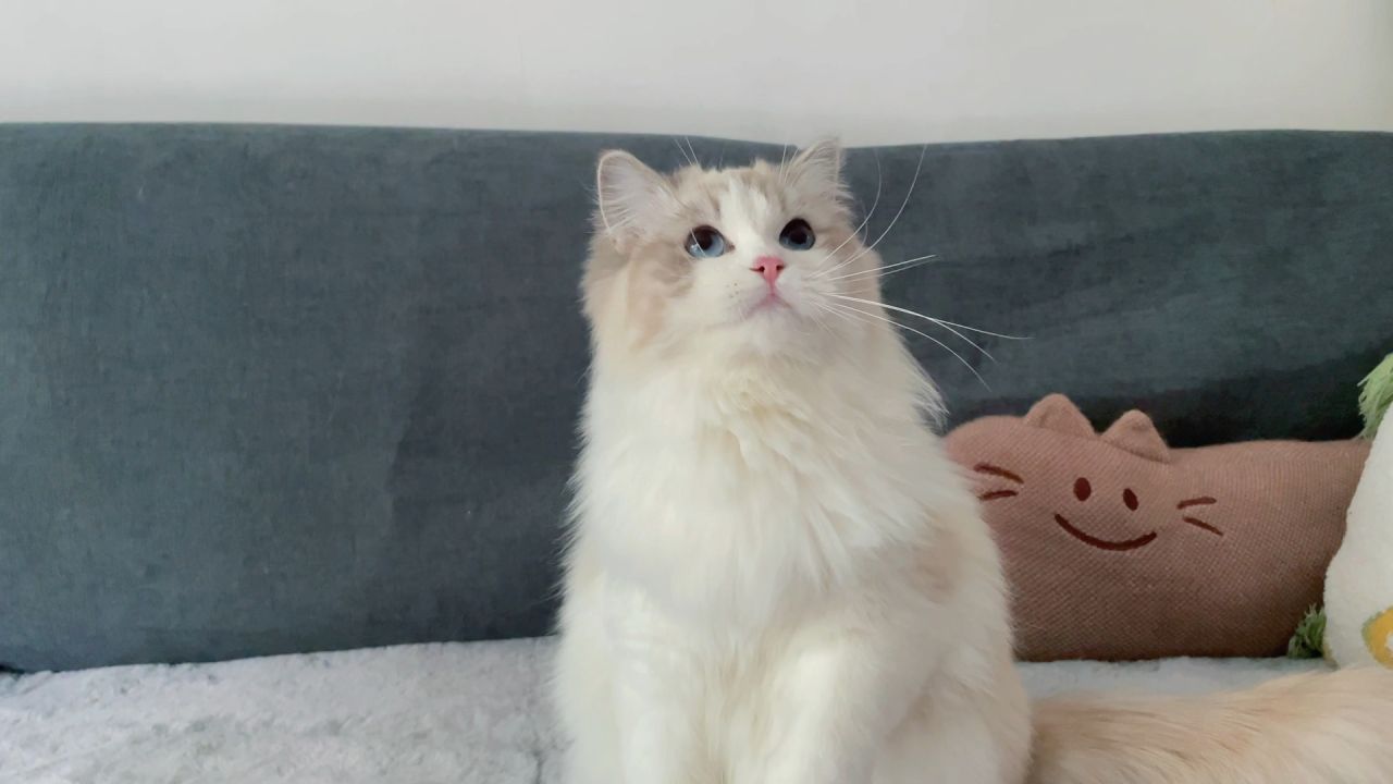 尿结石