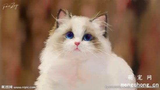 布偶猫会抓老鼠吗