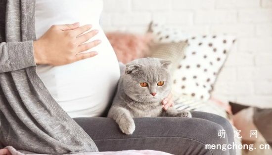怀孕能养猫吗