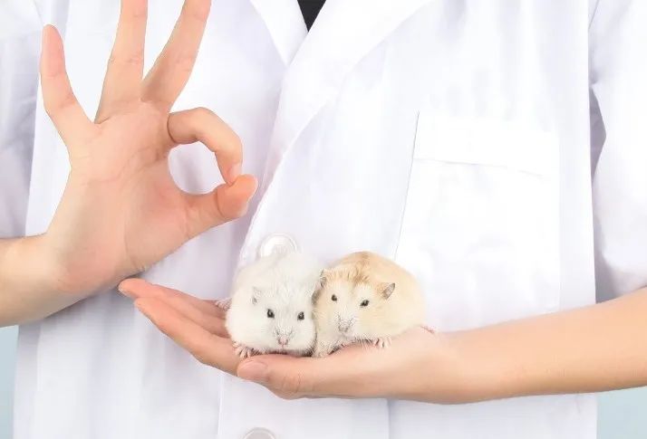 是我错了 真应该早点给你喂这个(图5) 是我错了 真应该早点给你喂这个(图5)