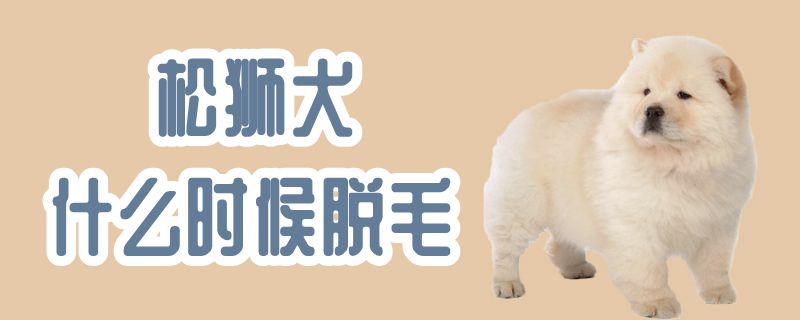 松狮犬什么时间脱毛