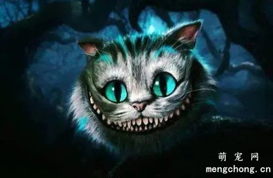 柴郡猫的笑代表什么?