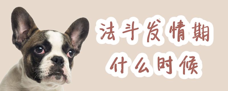 法斗发情期什么时间