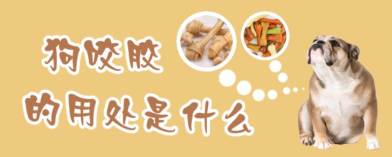 狗咬胶的用处是什么