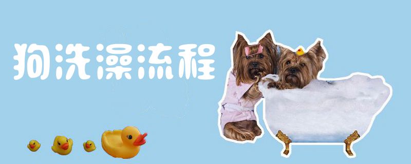 狗沐浴过程1