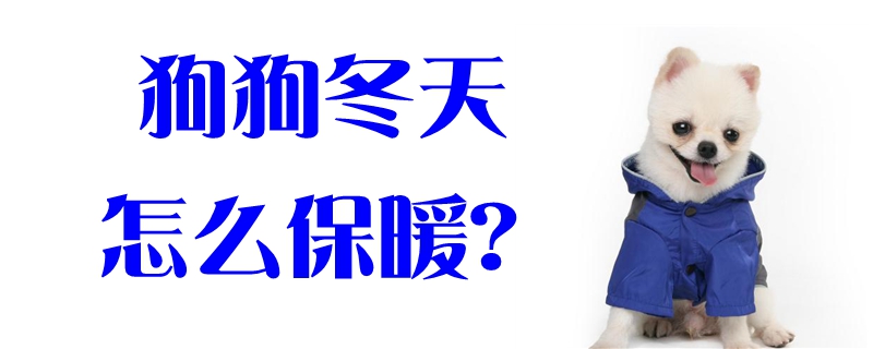 狗狗冬天怎样保暖