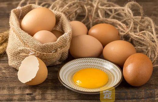 狗狗可以吃生鸡蛋吗？
