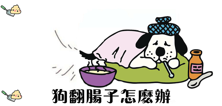 狗翻肠子怎样办1