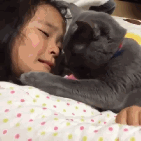 猫咪是不是有灵性？我生病了，猫就在身边安慰(图4)