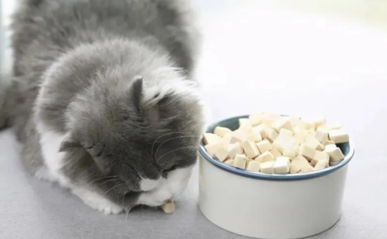 猫最喜欢吃什么