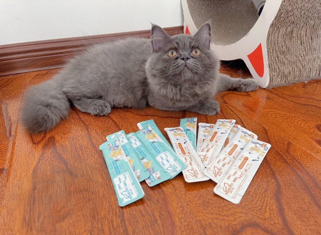 猫条可以天天喂吗