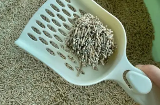 猫砂是继续添还是直接换新的