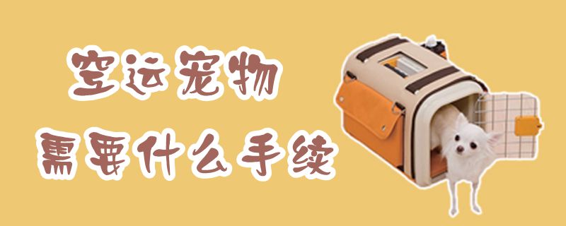 空运宠物须要什么手续