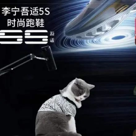 肖战代言李宁,直播间却被猫咪吃罐头抢镜!新疆棉花也不如它软萌(图3) 肖战代言李宁,直播间却被猫咪吃罐头抢镜!新疆棉花也不如它软萌(图3)