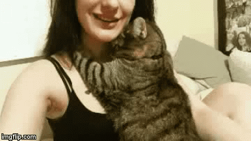 色咪咪？科研称猫咪更喜欢向少女卖萌！女性养一只猫有好处(图7)