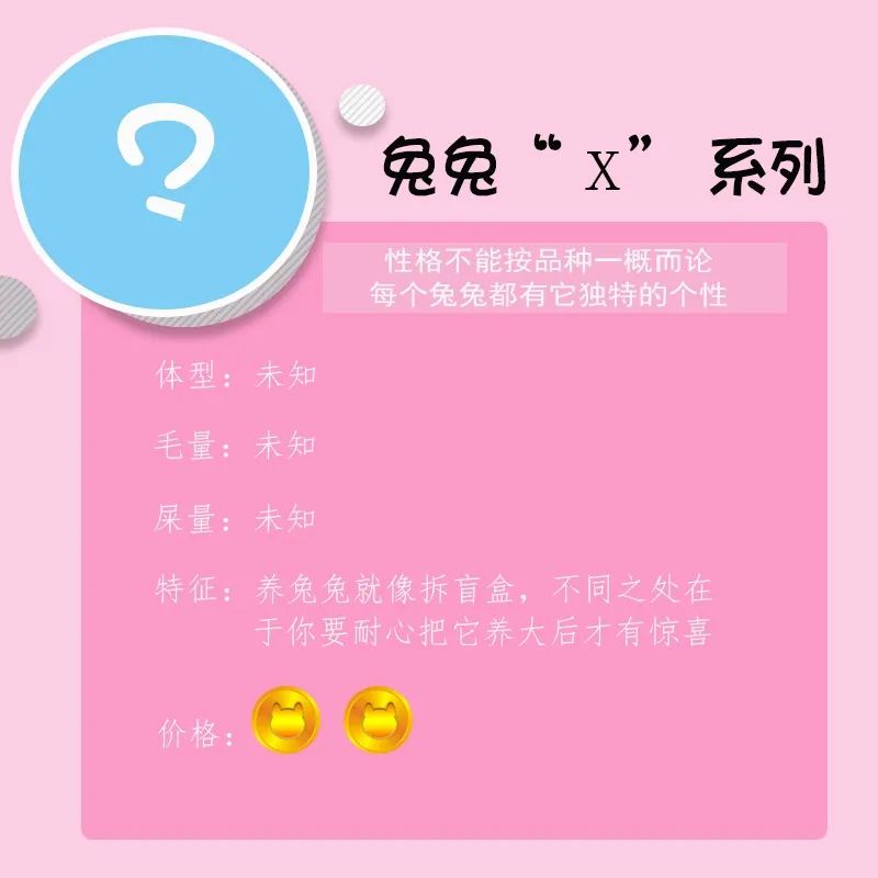 若你内心不够强大,千万不要去养兔子(图7) 若你内心不够强大,千万不要去养兔子(图7)