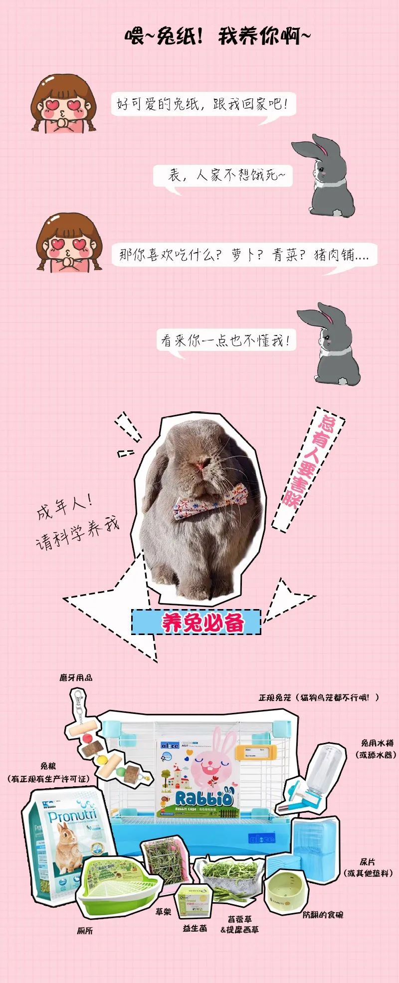 若你内心不够强大,千万不要去养兔子(图13) 若你内心不够强大,千万不要去养兔子(图13)