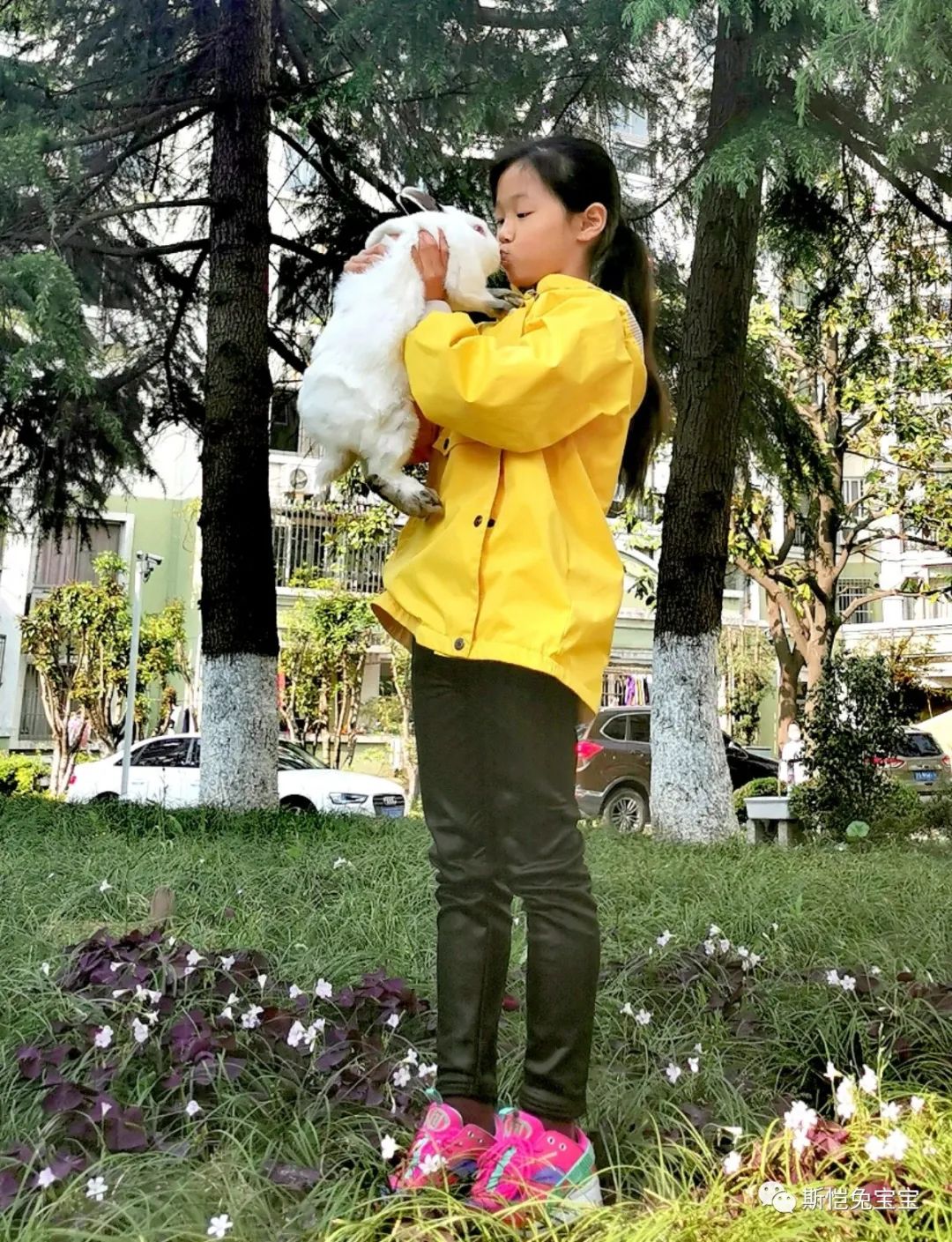 undefined 让臭味滚蛋的3大招,招招KO该死的异味(图1)