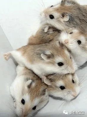 让臭味滚蛋的3大招,招招KO该死的异味(图13) 让臭味滚蛋的3大招,招招KO该死的异味(图13)