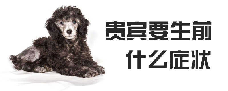 客人要生前什么症候