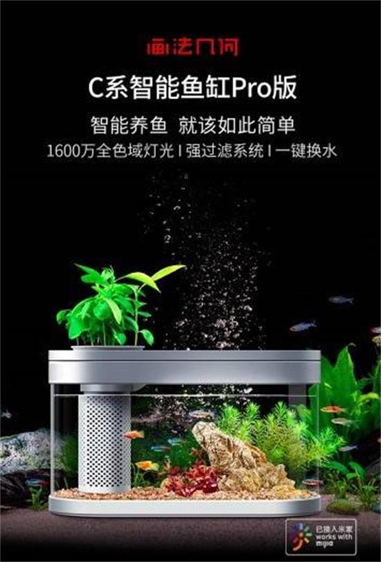 2021年宠物行业盘点：消费全面升级 六大细分发展趋势彰显未来方向