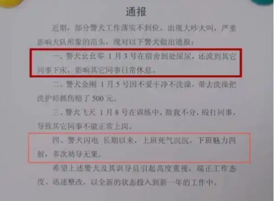 “上班死气沉沉”“到处尿尿”，4只警犬被通报