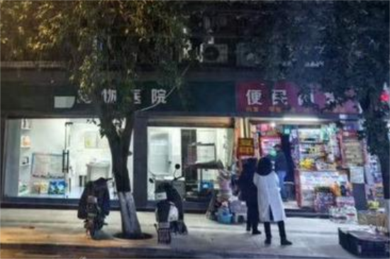 “医猫疗狗”坑太多，宠物主人“很受伤”