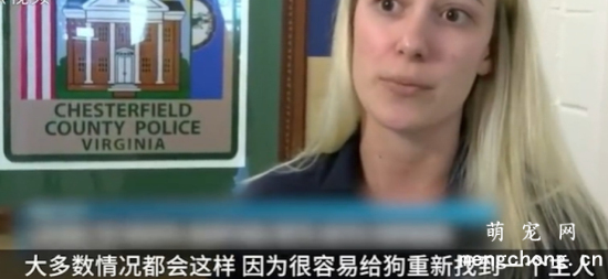主人患病离世，遗嘱里有一条却让人无法接受：我死后要我的狗陪葬……