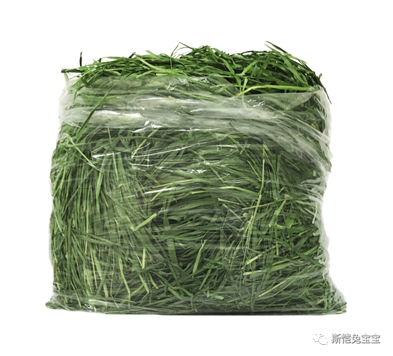 主人!我们是不是有个大大大误会?(图9) 主人!我们是不是有个大大大误会?(图9)