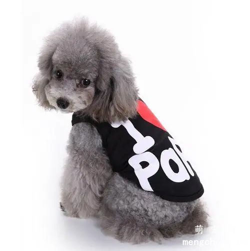 什么颜色的泰迪好看？