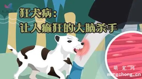 你一定要好好了解狂犬病