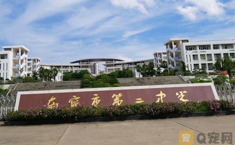 南宁二中可带宠物上学？你怎么看？(图1)