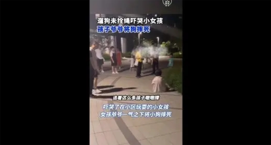 吓哭小孩后，宠物狗当场被摔死！最新通报→