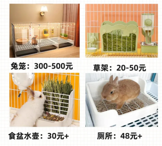听说你想养兔子，你知道需要花多少钱吗？