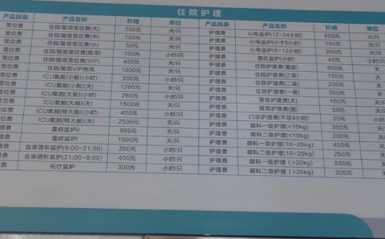 小宠物大赛道，宠物经济崛起