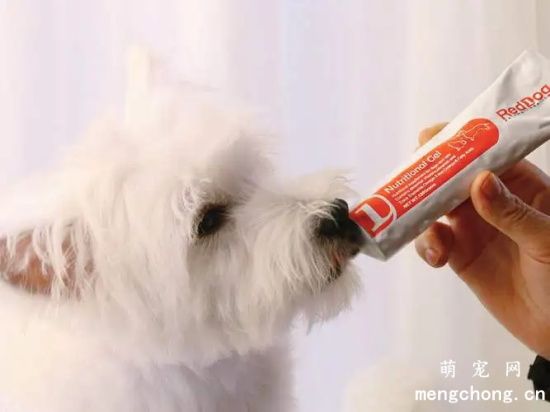 幼犬什么时候吃营养膏？